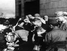 开云体育APP下载-广岛三箭客场逆转胜墅太雷士，晋级强