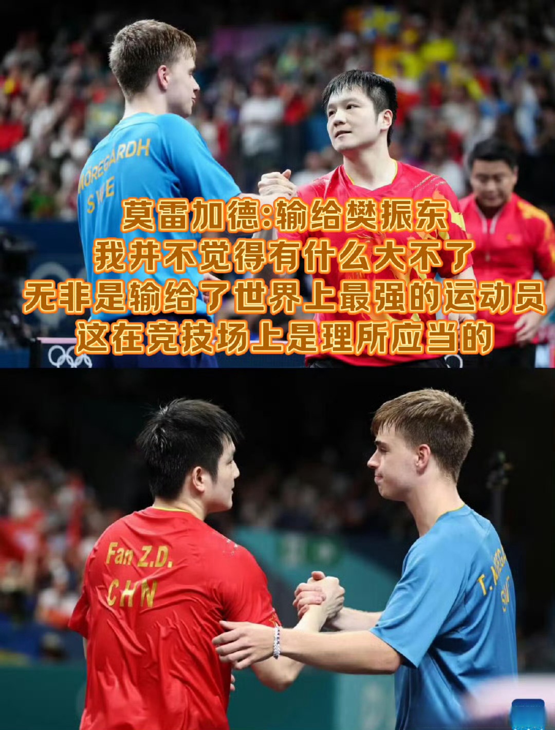 开云体育APP下载-包含波兰乒乓球队绝杀奥地利乒乓球队,樊振东制霸全场的词条