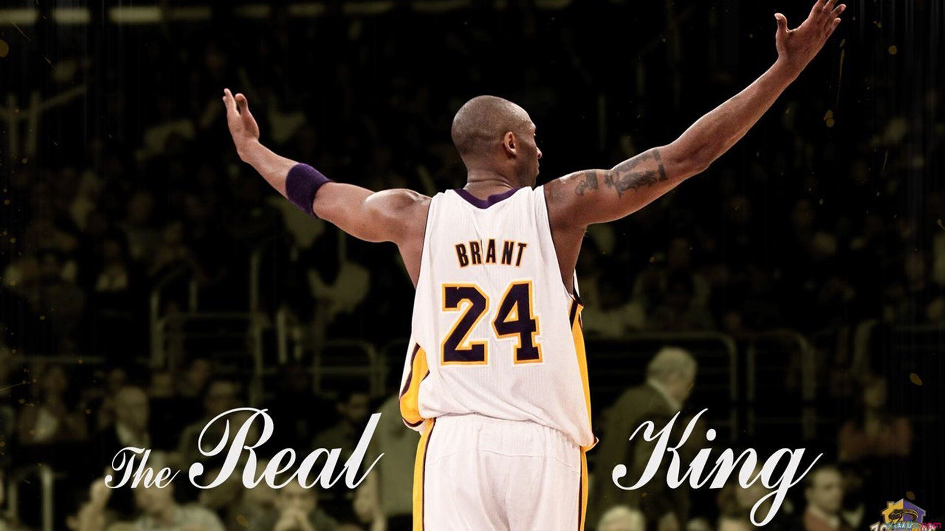 开云体育APP下载-虫洞边缘的跳投,当塔图姆成为撕裂时空的关键先生