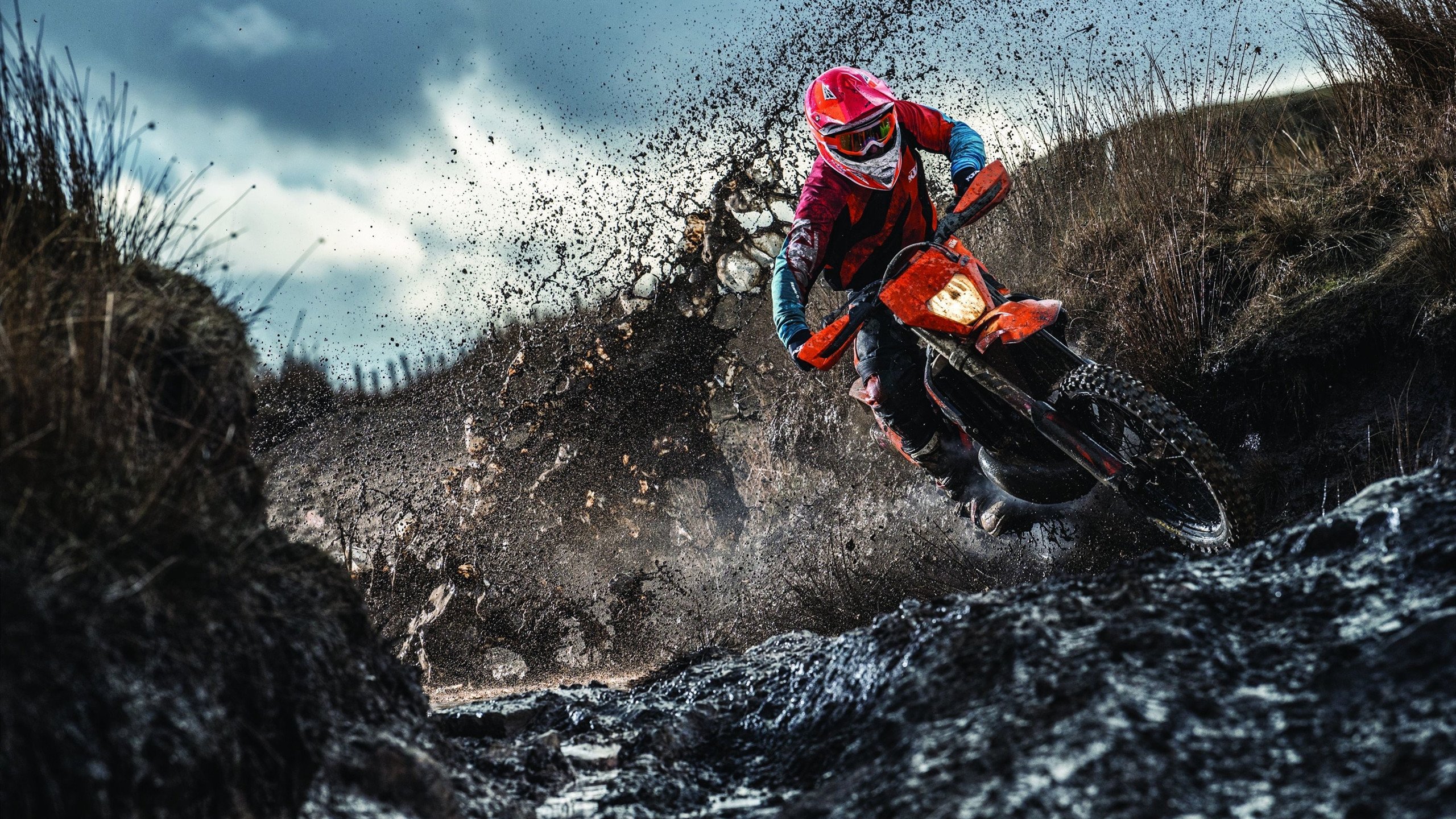 开云体育平台APP-韩国虽横扫马来西亚，但这一夜只属于逆光而行的桃田贤斗